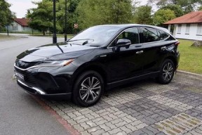 国产12p,引领科技潮流的创新之作